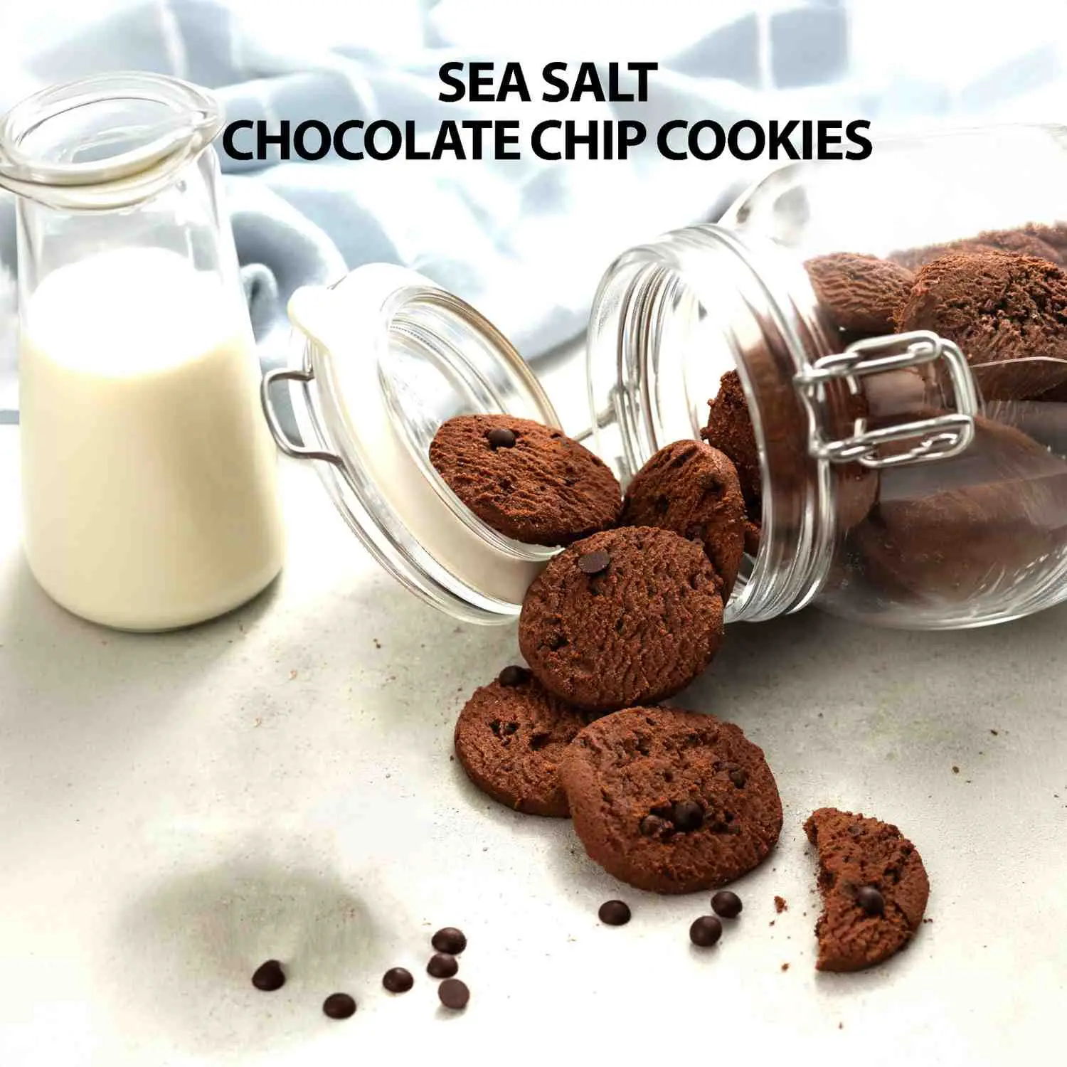 Chocolate Cookies